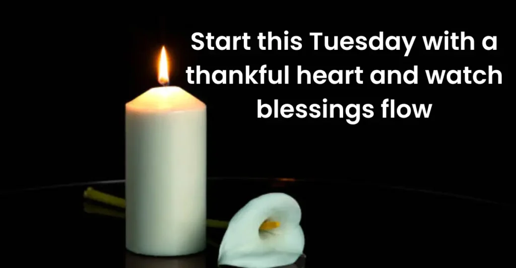 Thankful Tuesday Blessings